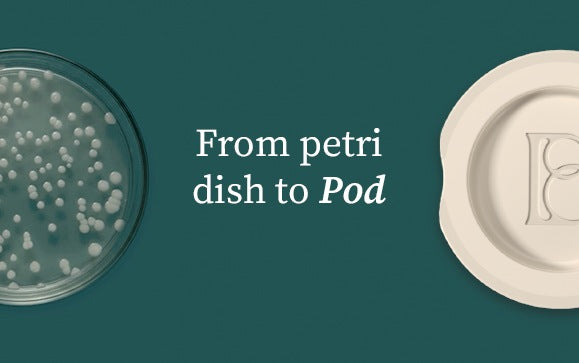 A Petri dish of bacterial colonies beside a Byomi Pod, with the words From petri dish to Pod