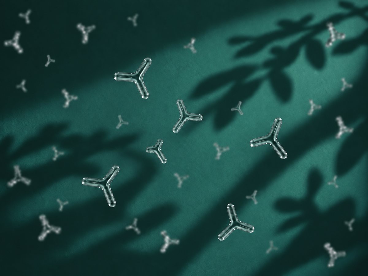 Glass sculpture of bifid, Y-shaped Bifidobacterium cells scattered independently across the frame with generous negative space, on a deep teal ground with soft leaf shadows