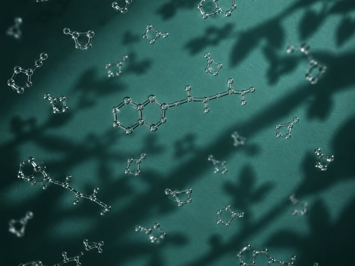Glass sculpture of branched Bifidobacterium cells on a deep teal ground