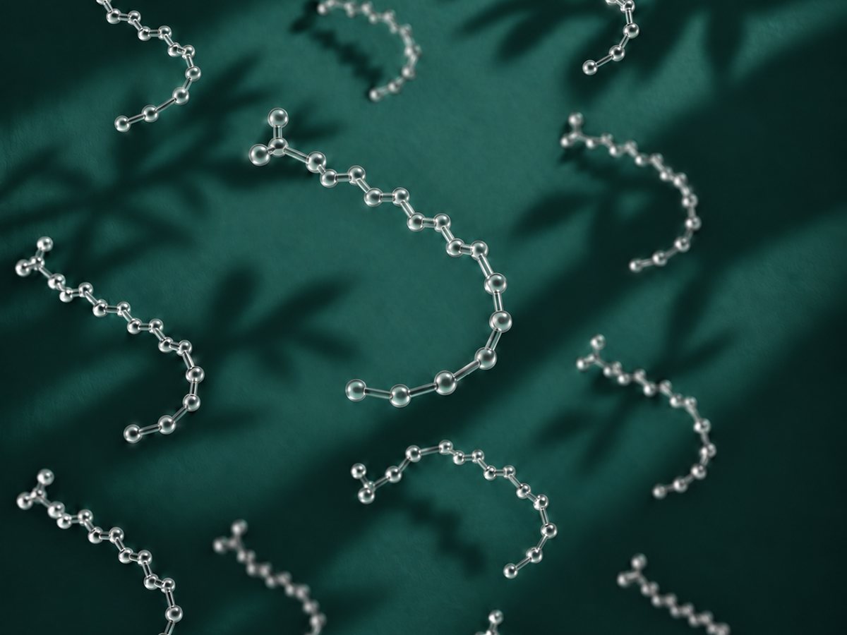 Glass sculpture of branched Bifidobacterium cells on a deep teal ground